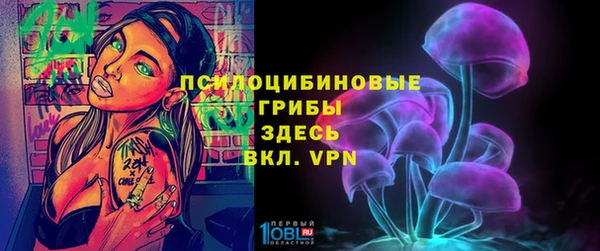 мяу мяу мука Карпинск